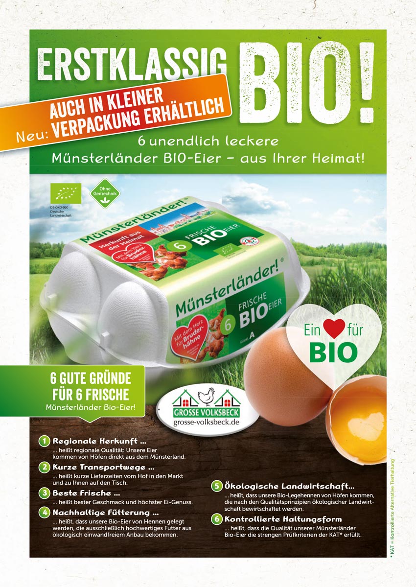 Flyer für Münsterländer Bio-Eier 6-er Verpackung