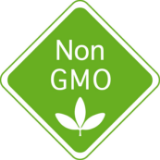 Non GMO Logo