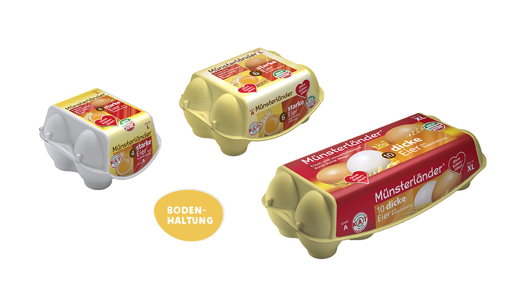 Münsterländer Eier aus Bodenhaltung 4er, 6er oder "Die Dicken" in XL! Verpackung